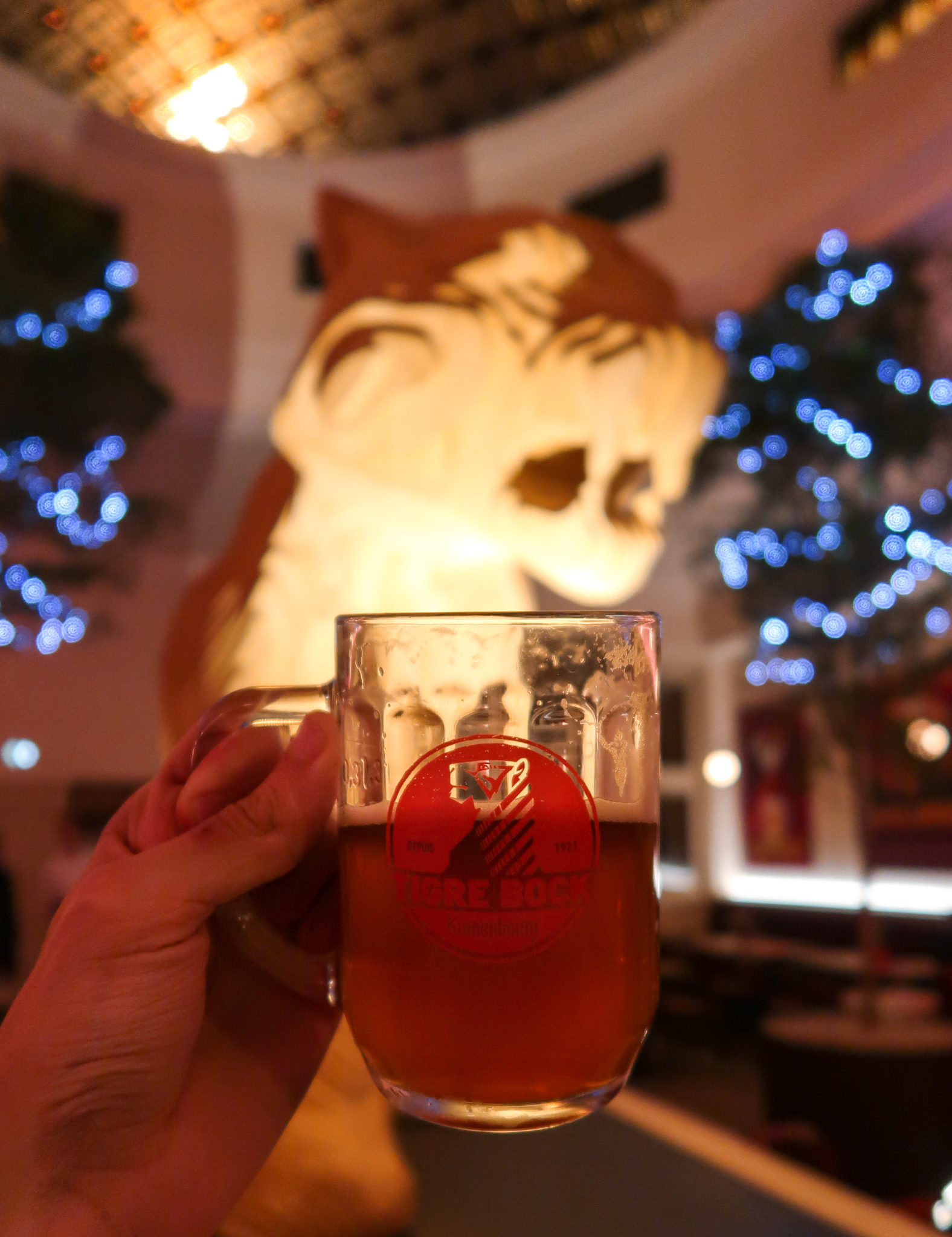 Le Tigre Strasbourg : la nouvelle brasserie incontournable bières Kronenbourg France Tiger Bock